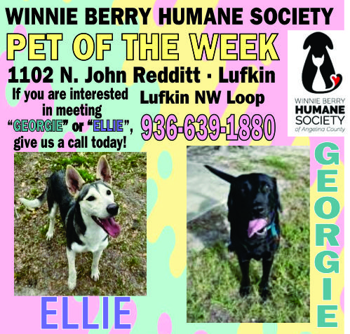 Pet of The Week Ad