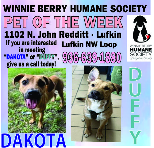 Pet of The Week Ad