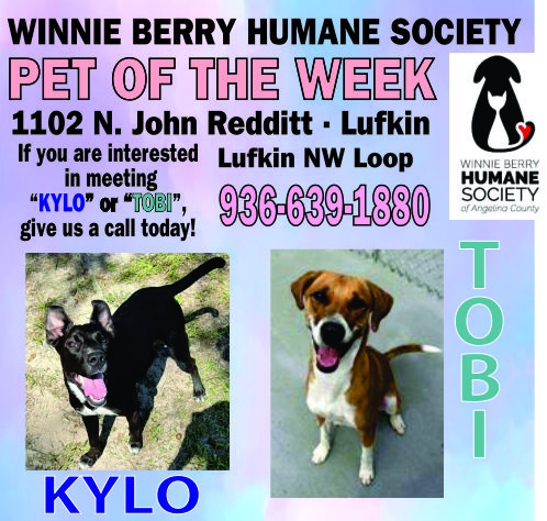 Pet of The Week Ad