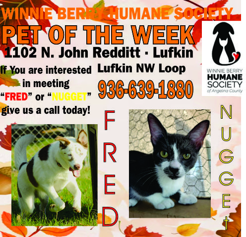 Pet of The Week Ad