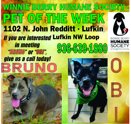 Pet of The Week Ad