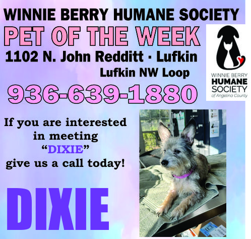 Pet of The Week Ad