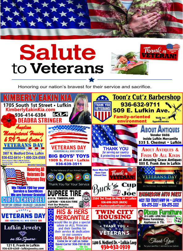 Veterans Day Ad
