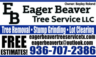 Eager Beaver Tree Service Ad