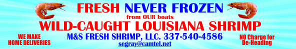 Salty Auto Sales Banner